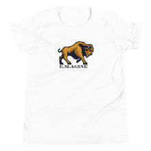 Load image into Gallery viewer, Roaming Bison t-shirt (kid)
