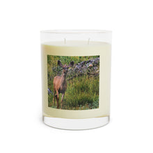 Load image into Gallery viewer, &quot;White Tea and Fig&quot; Candle - Full Glass, 11oz
